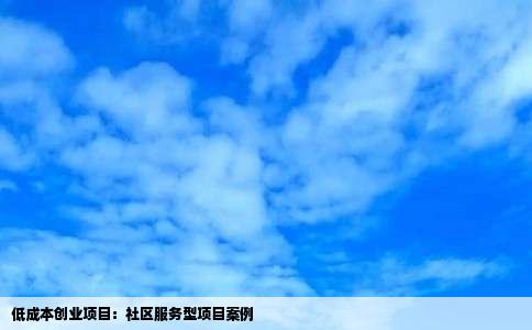 低成本创业项目：社区服务型项目案例