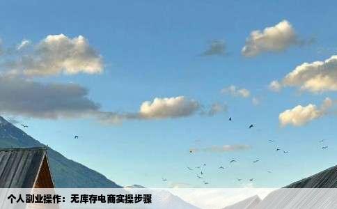 个人副业操作：无库存电商实操步骤