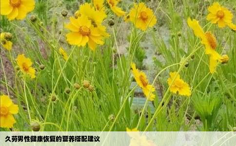 久劳男性健康恢复的营养搭配建议