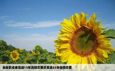 自由职业者是选15年高档交费还是选25年低档交费