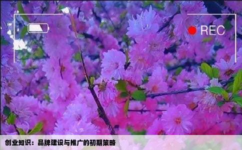 创业知识：品牌建设与推广的初期策略