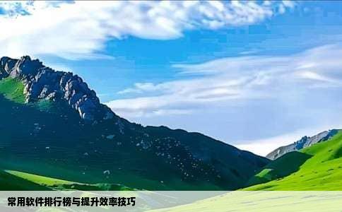 常用软件排行榜与提升效率技巧