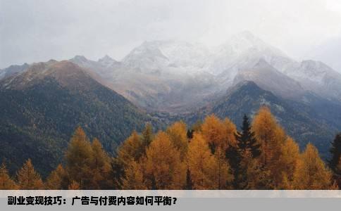 副业变现技巧：广告与付费内容如何平衡？