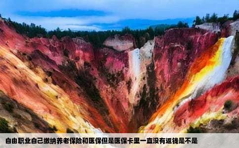 自由职业自己缴纳养老保险和医保但是医保卡里一直没有返钱是不是