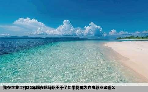 我在企业工作22年现在想辞职不干了如果我成为自由职业者哪么