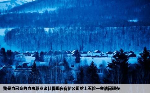 我是自己交的自由职业者社保现在有新公司给上五险一金请问现在