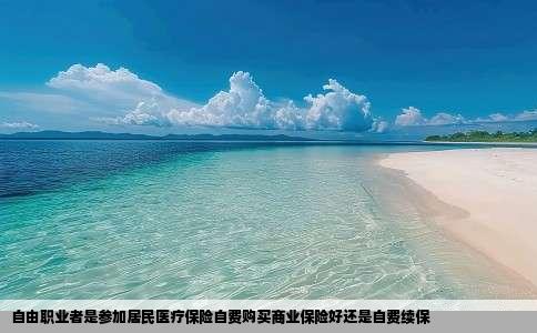 自由职业者是参加居民医疗保险自费购买商业保险好还是自费续保