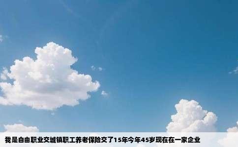 我是自由职业交城镇职工养老保险交了15年今年45岁现在在一家企业
