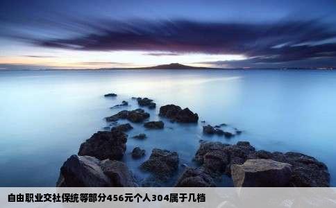 自由职业交社保统等部分456元个人304属于几档