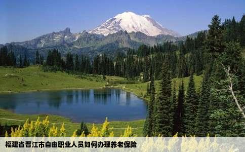 福建省晋江市自由职业人员如何办理养老保险