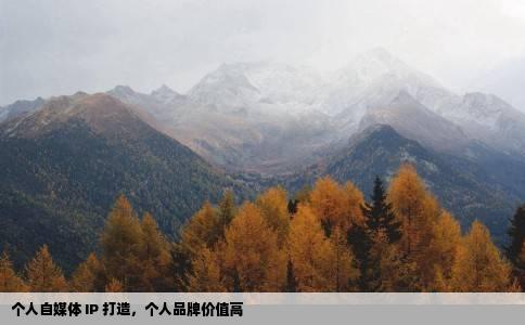 个人自媒体 IP 打造，个人品牌价值高