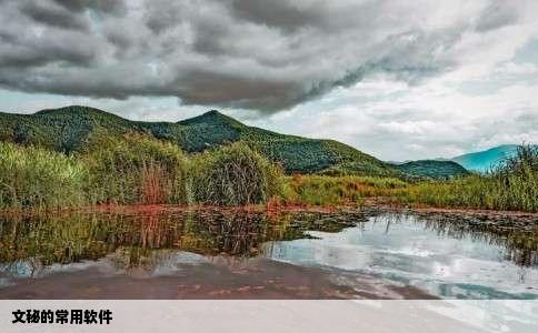 文秘的常用软件