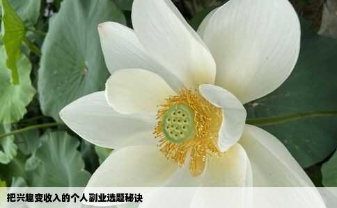 把兴趣变收入的个人副业选题秘诀