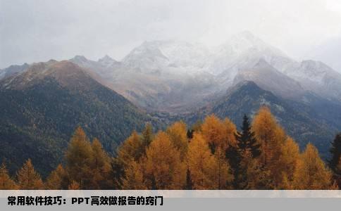 常用软件技巧：PPT高效做报告的窍门