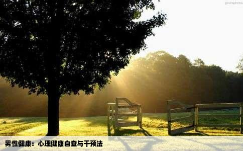 男性健康：心理健康自查与干预法