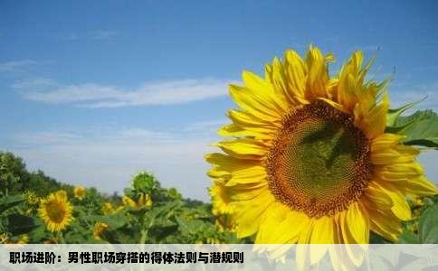 职场进阶：男性职场穿搭的得体法则与潜规则