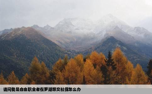 请问我是自由职业者在罗湖想交社保怎么办
