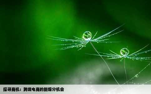 探寻商机：跨境电商的新细分机会