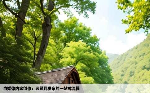自媒体内容创作：选题到发布的一站式流程