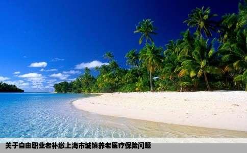 关于自由职业者补缴上海市城镇养老医疗保险问题