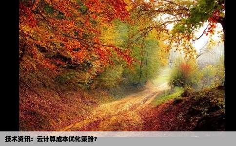 技术资讯：云计算成本优化策略？