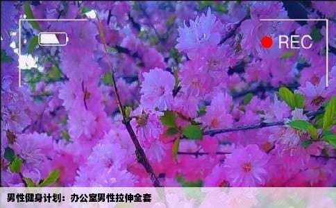 男性健身计划：办公室男性拉伸全套