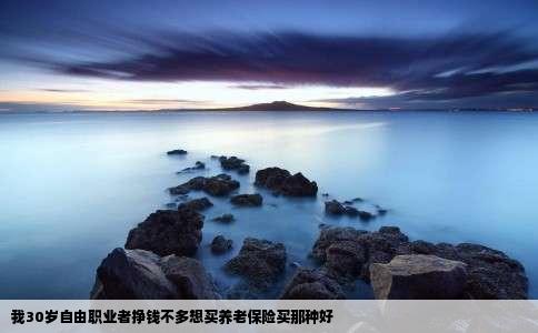 我30岁自由职业者挣钱不多想买养老保险买那种好