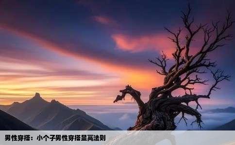 男性穿搭：小个子男性穿搭显高法则