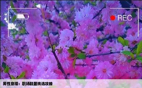 男性穿搭：职场鞋履挑选攻略