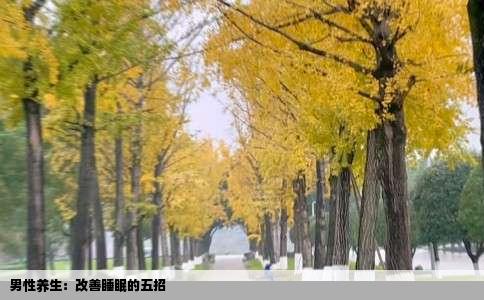 男性养生：改善睡眠的五招