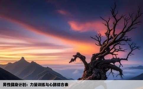 男性健身计划：力量训练与心肺结合表