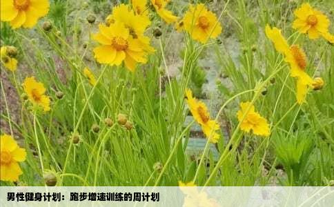 男性健身计划：跑步增速训练的周计划