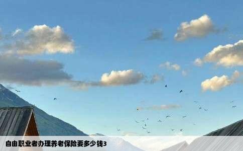 自由职业者办理养老保险要多少钱3