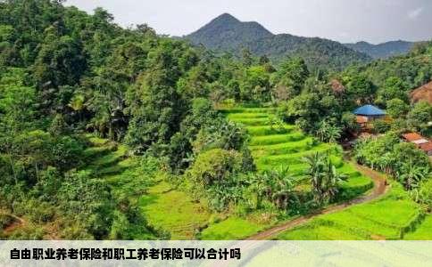 自由职业养老保险和职工养老保险可以合计吗