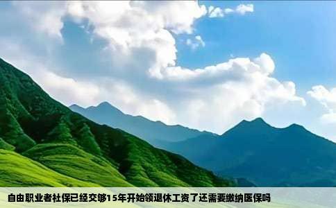 自由职业者社保已经交够15年开始领退休工资了还需要缴纳医保吗