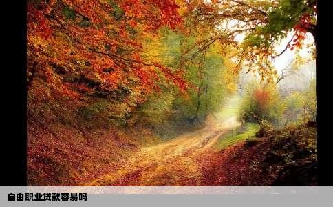 自由职业贷款容易吗