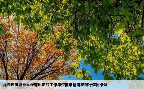 我是自由职业人没有固定的工作单位能申请浦发银行信用卡吗