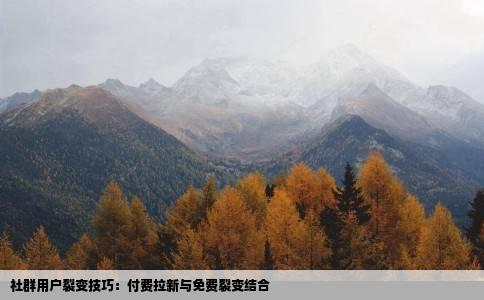 社群用户裂变技巧：付费拉新与免费裂变结合
