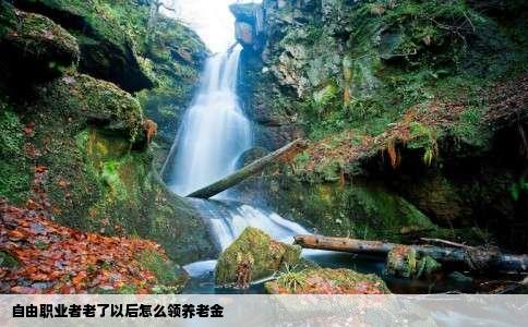 自由职业者老了以后怎么领养老金