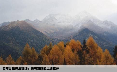 老年男性养生锻炼：关节友好的运动推荐