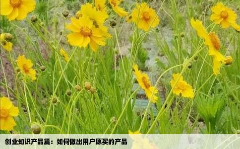 创业知识产品篇：如何做出用户愿买的产品