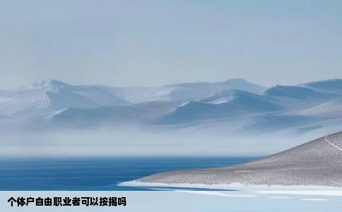 个体户自由职业者可以按揭吗