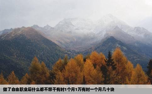 做了自由职业后什么都不想干有时1个月1万有时一个月几十块