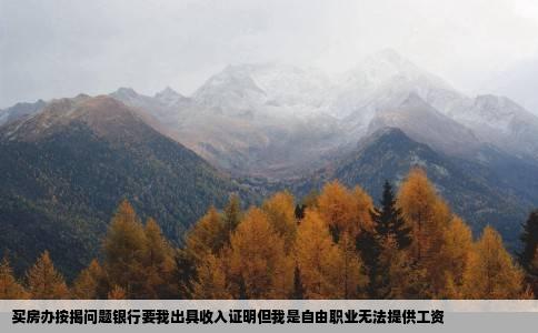 买房办按揭问题银行要我出具收入证明但我是自由职业无法提供工资