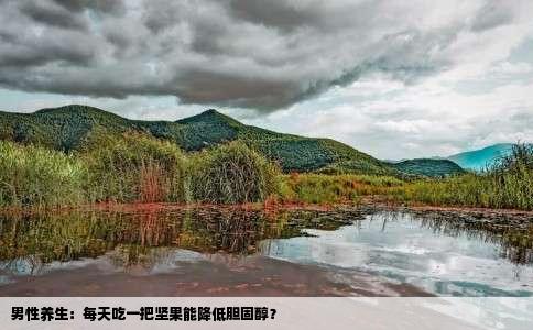 男性养生：每天吃一把坚果能降低胆固醇？