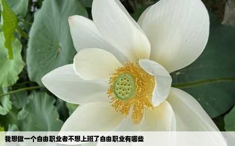 我想做一个自由职业者不想上班了自由职业有哪些