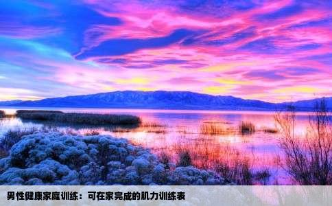 男性健康家庭训练：可在家完成的肌力训练表