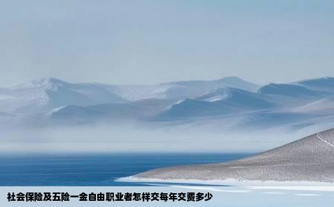 社会保险及五险一金自由职业者怎样交每年交费多少
