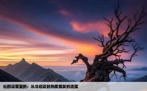 社群运营案例：从冷启动到热度爆发的流程