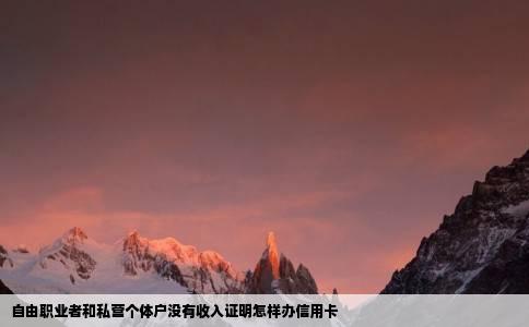 自由职业者和私营个体户没有收入证明怎样办信用卡